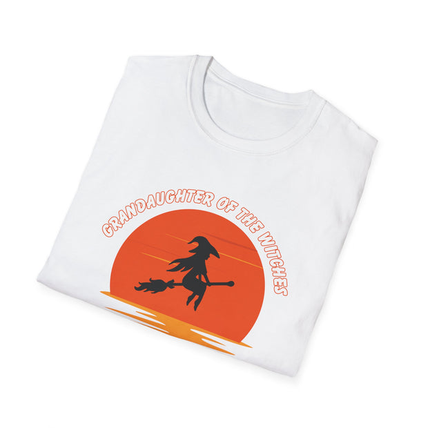 Granddaughter of the witches you couldn't burn t shirt -flying witch